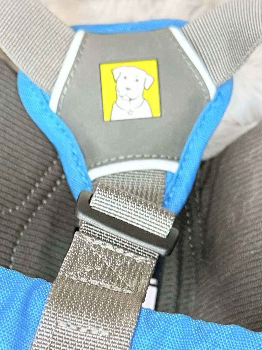 Ruffwear Singletrak Dog Hydration Vest in Bright Blue with Lime Accents